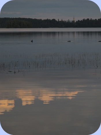 Maisema