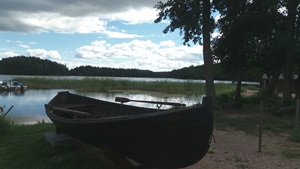 Kukkasniemi